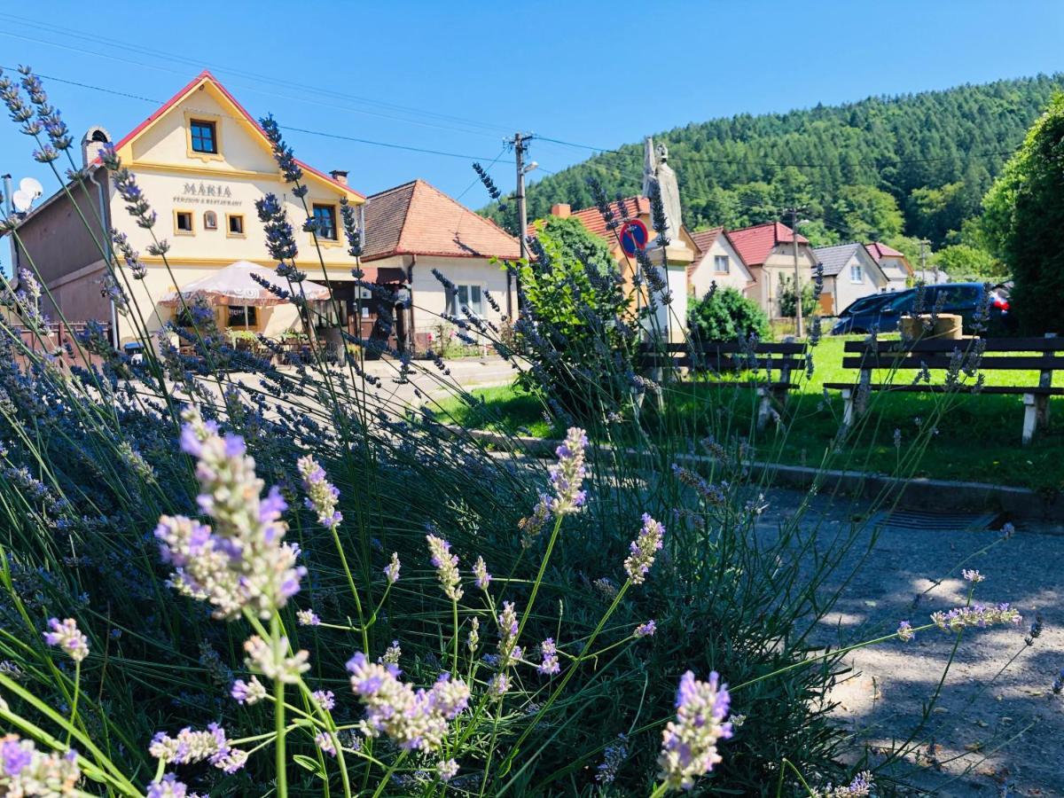 Maria Penzion & Restaurant Trenčín 외부 사진